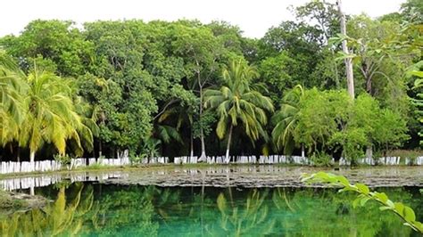 ecosistemas del estado de campeche