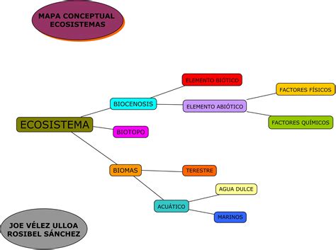 ECOSISTEMAS. MAPA CONCEPTUAL. ECOSISTEMAS