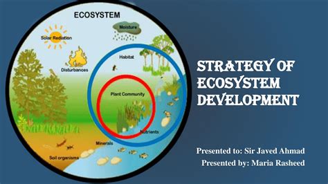 Ecosystem Development