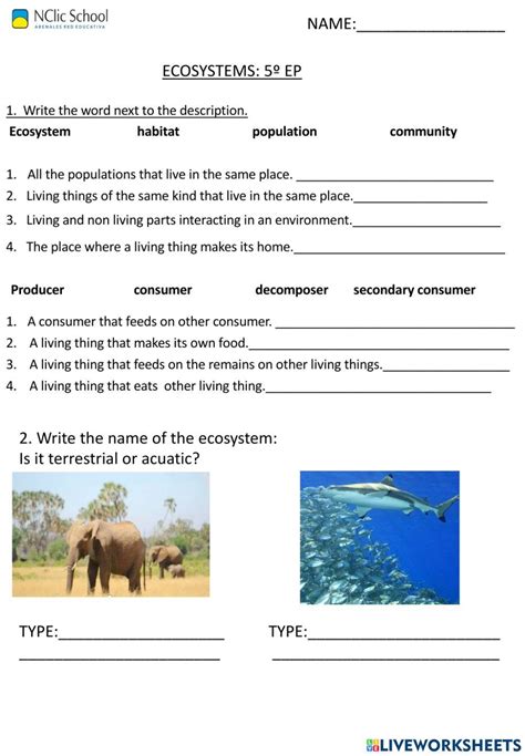 Ecosystem Interactive Free Printables