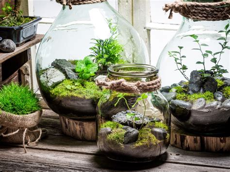 ecosystem jar