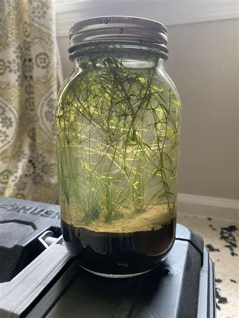 ecosystem jar project