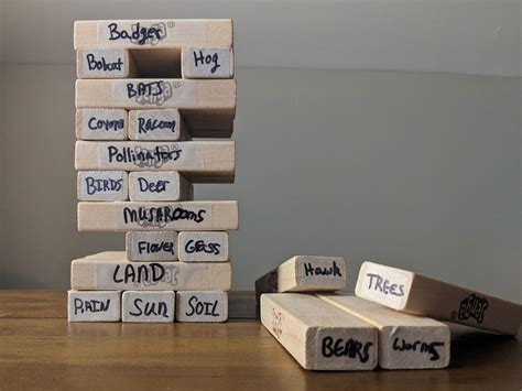 ecosystem jenga