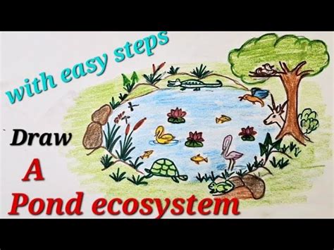ecosystem kids drawing