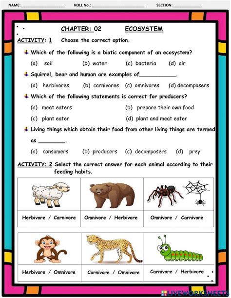 Ecosystem Worksheet Basics