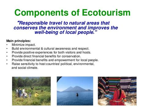 ecotourism and its components