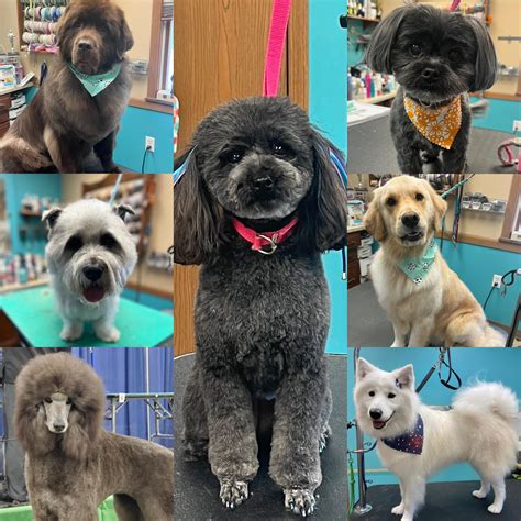 Ecru Ms Dollar General