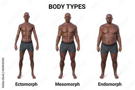 The Ectomorphic Body Type Everything You Need to Know Body