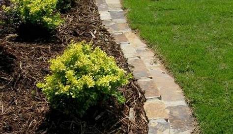 Edge Of Lawn Road Side Ideas Knowing A Little About Edging