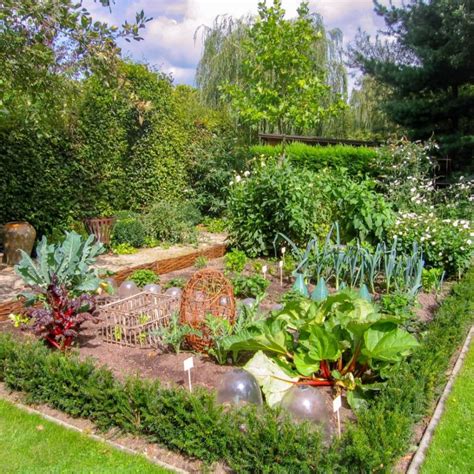 Front edible garden. Great structure keeps it organized and tidy