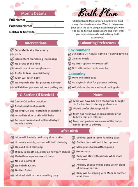 Editable Printable Birth Plan Template