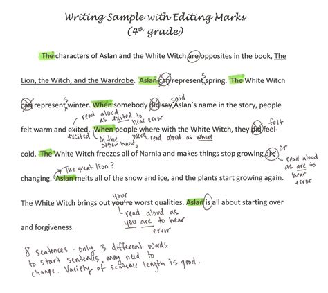 Editing Writing Examples