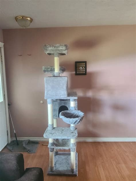 Edmonton Cat Trees