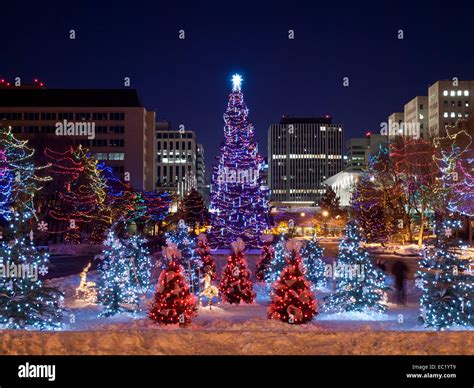 Edmonton Christmas Tree