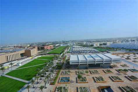 education city qatar universities