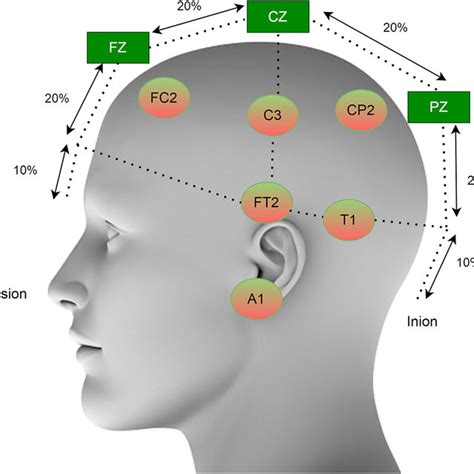 Eeg Electrode Placement Diagram