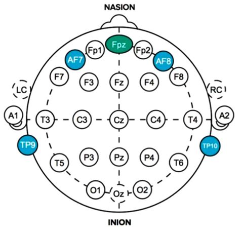 Eeg Electrodes Replacement