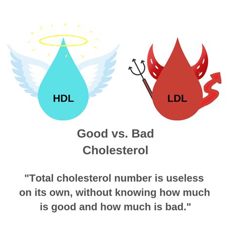 eel good or bad cholesterol