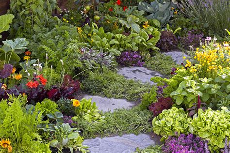 Eetbare Vaste Planten