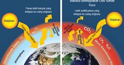 √ Efek Rumah Kaca Ini Dapat Ditanggulangi Salah Satunya Dengan Cara