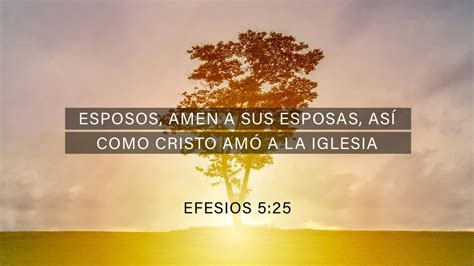 efesios 5:25-31