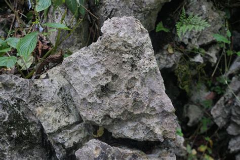 effect of acid rain on limestone