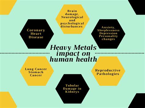 effect of heavy metals on human health