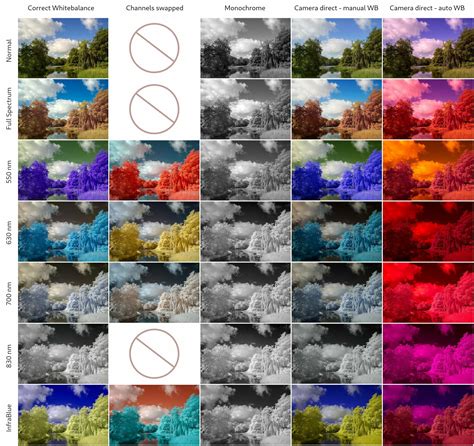 Effect Vs Filter