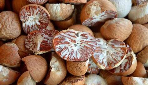 Drugs of the South Pacific Betel Nut