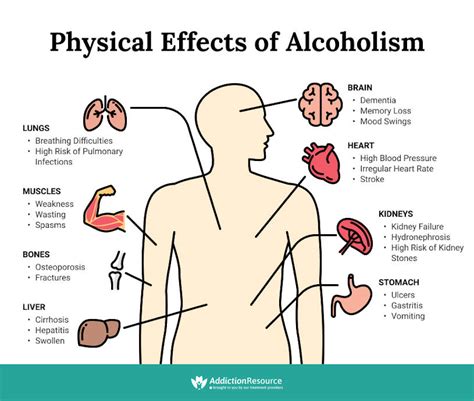 The Effects of Alcohol on the Body
