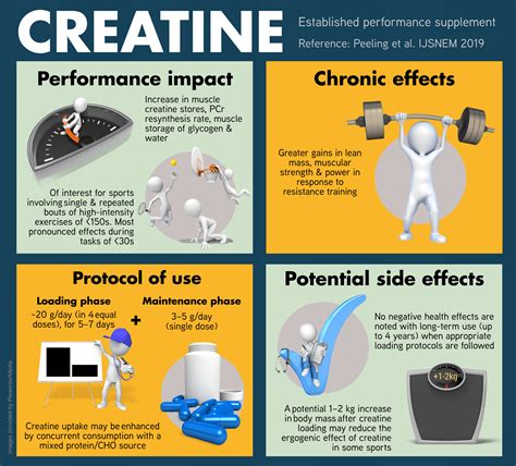 effects of creatine on sports performance