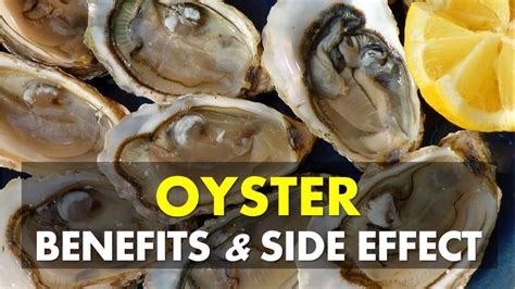 effects of eating oysters