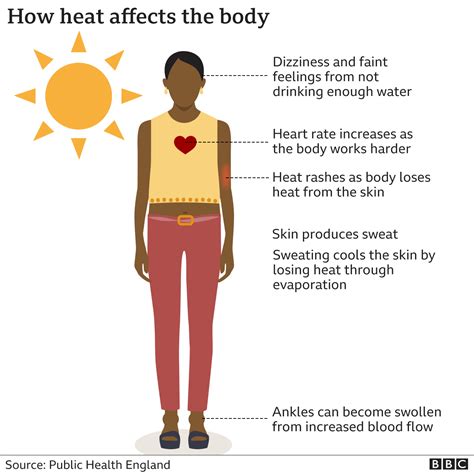 effects of extreme heat on the body