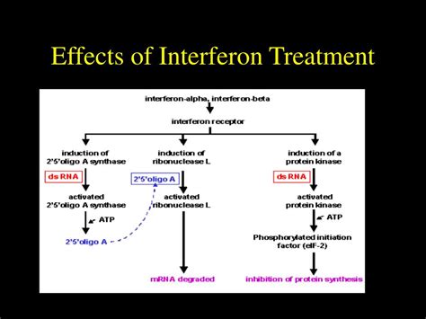 effects of interferon treatment