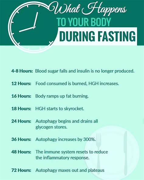 Short-term vs Long-term Effects of Fasting