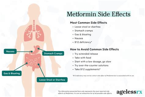Effects Of Metformin