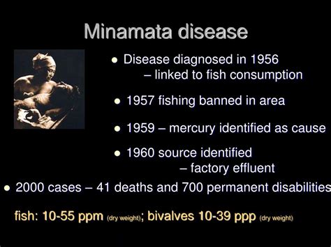 effects of minamata disease