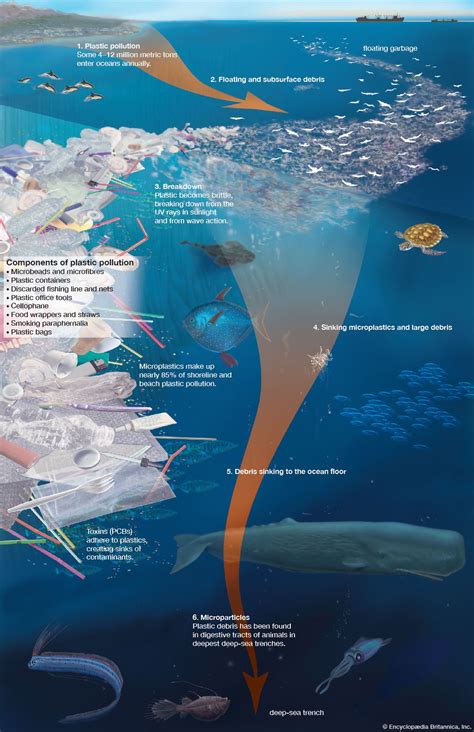 Effects Of Plastic On The Ocean