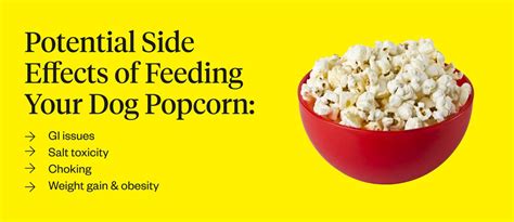 Effects Of Popcorn On Dogs