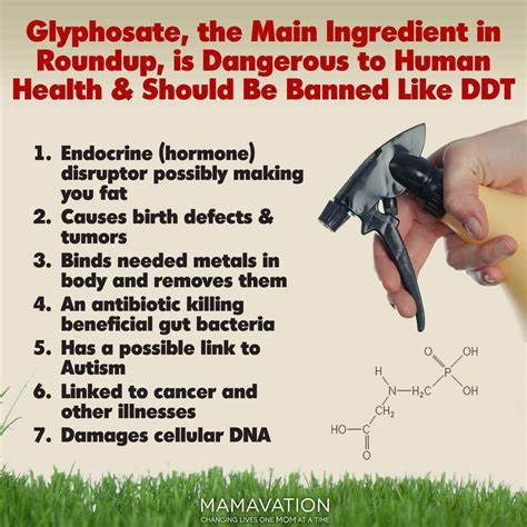 effects of roundup on human health
