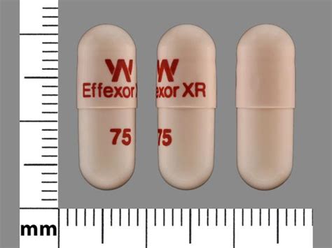 effexor xr 75 mg capsule extended release