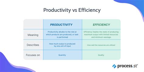 efficiency vs productivity