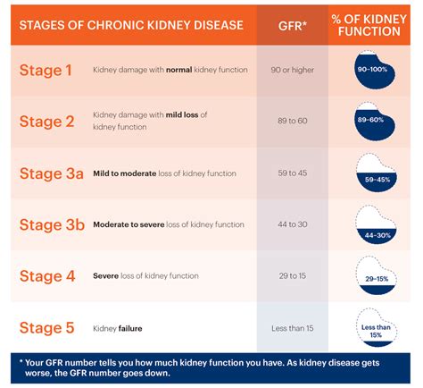 Egfr Kidney Failure Stages