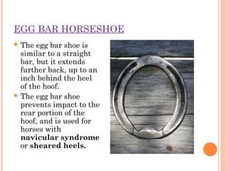 98 Best Of Egg Bar Shoe Purpose For Women