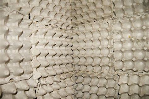 Egg Boxes As Soundproofing