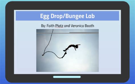 Egg Bungee Lab
