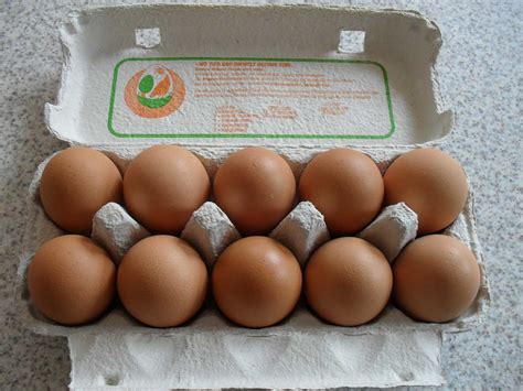 Egg Carton Bgs