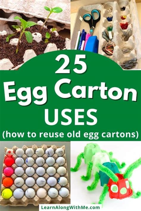 Egg Carton Reuse