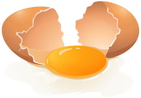 egg clipart png images