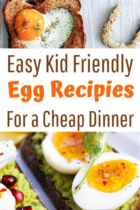 Egg Definition Kid Friendly